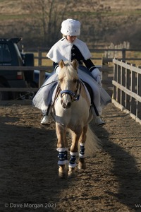 Collecting Ring Fancy Dress!